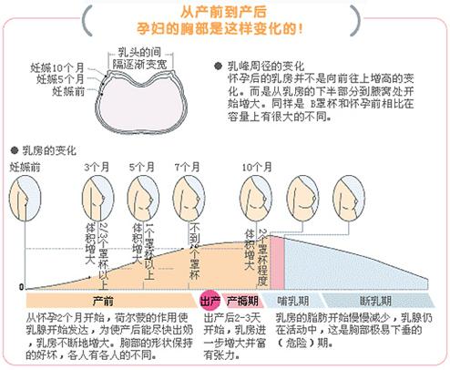 哺乳期怎么判断怀孕了37.3度呢