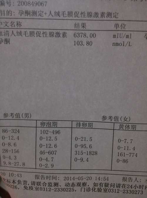 生命的密码抽血查染色体的旅程