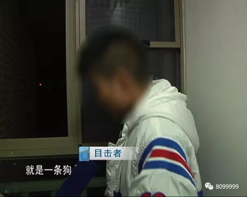 男子高空窥浴引麻烦，警方介入调查