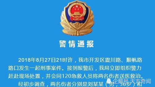 关于男子反杀砍人者获刑十年的再审申请探讨