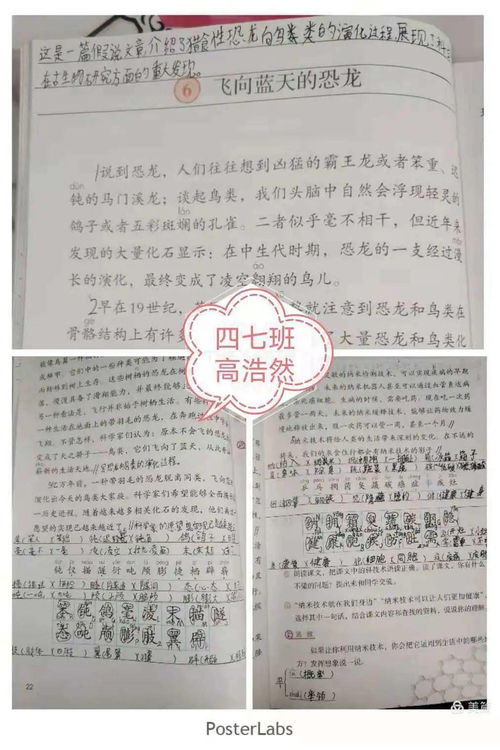 寒假期间如何合理规划孩子的学习与生活——2021年寒假特别指南