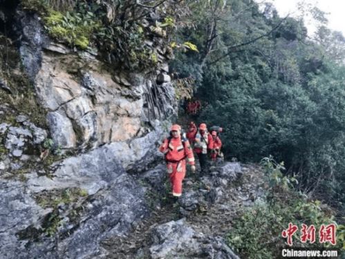 哀牢山夜晚的二氧化碳之谜