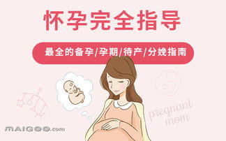 孕期全指南，从备孕到产后，全方位了解孕妇孕期知识