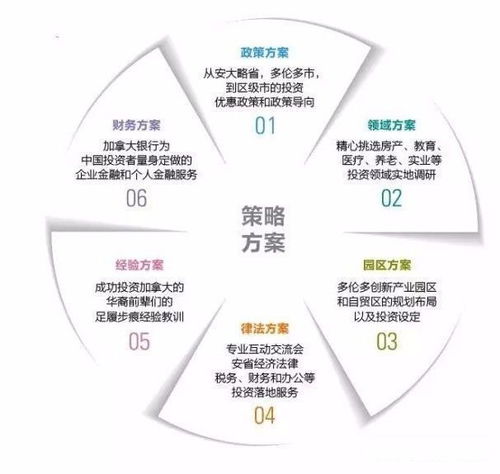 三年投资12万，解锁博士学位新路径，高效与价值的深度探索