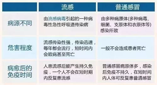 异型淋巴细胞与儿童健康，家长需知的几点关键信息