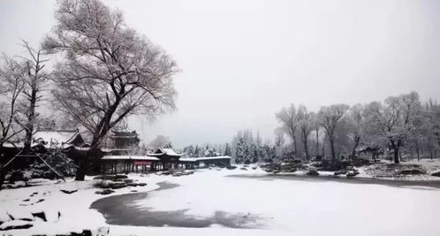 太原下雪了，1951年以来最早初雪纪实