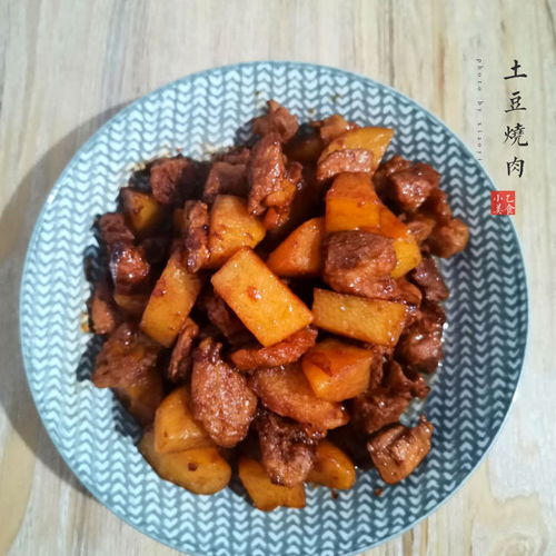 从烹饪到餐桌，与孩子一起制作美味的土豆烧肉