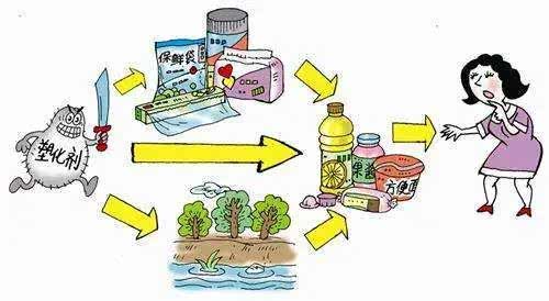 塑化剂是什么？了解其对儿童健康的影响及预防措施