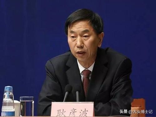 耿彦波，大同原市长的特殊贡献奖背后