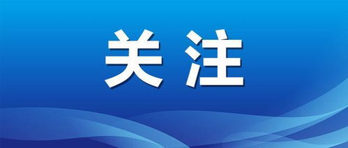 促进高质量充分就业，构建经济发展与社会稳定的重要基石