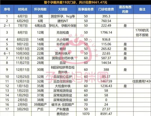 孕期检查项目与时间安排指南