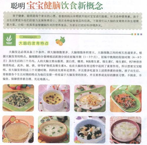 宝宝辅食添加指南，如何为宝宝选择合适的食物