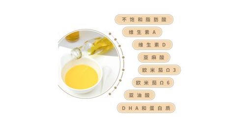 宝宝辅食添加指南，如何为宝宝选择合适的食物