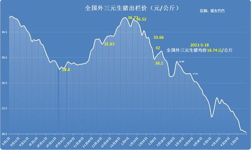 羽绒服涨价了 竟与猪价有关