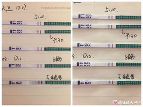 排卵试纸与怀孕，全面解析与建议