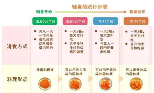 宝宝几个月可以添加辅食？科学指南助您顺利过渡