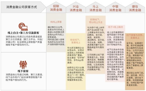 深入剖析与消费指南