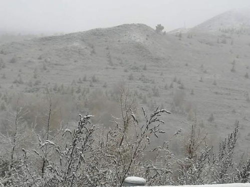 北京飘雪了，银装素裹下的城市魅力与温情故事