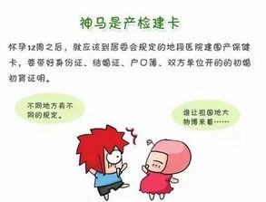 从受精到分娩的全程指南