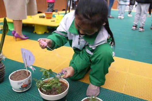 孩子教育，为未来播下希望的种子