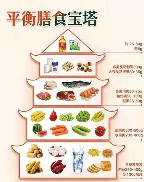 打造健康消化系统的饮食宝典