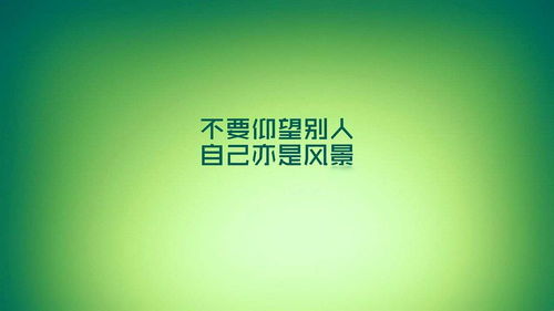 百万网红停播备考3个月考研过线，勇气、策略与坚持的启示