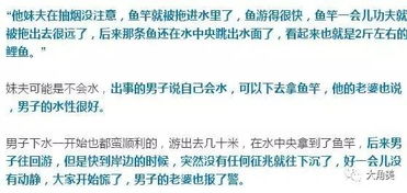 官方通报违规排污致十万斤鱼死亡，一场生态与经济的双重悲剧