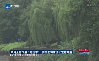 浙江气温跳楼式暴跌，一场气候的过山车之旅