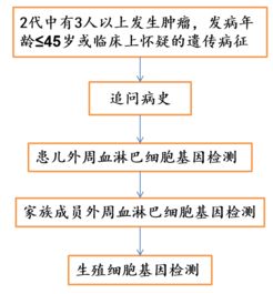 河南兄妹七人五人确诊肠癌，家族遗传与生活习惯的双重警示