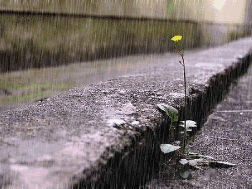 暴雨后河南许昌满目疮痍？不实传言背后的真相与重建故事