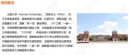 委员，建议取消高考直接上大学 深入探讨其可行性、影响与替代方案