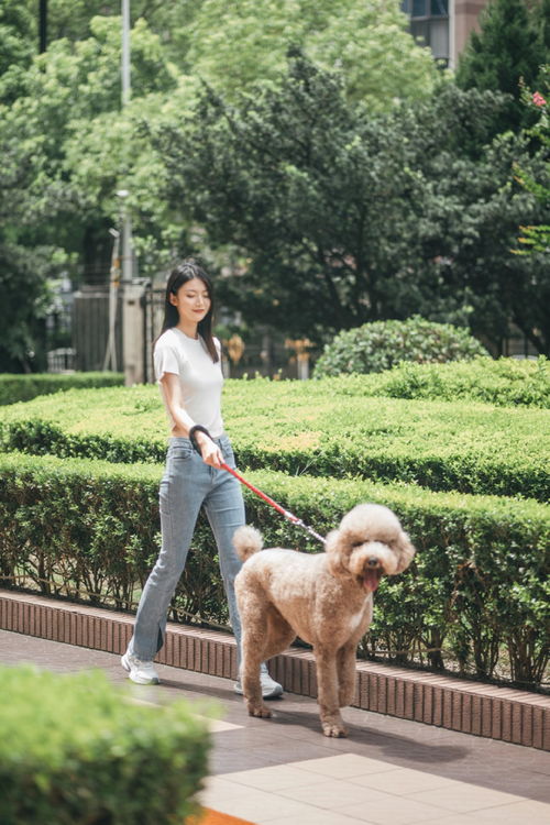 遛狗搭子结婚，随份子时写下狗狗名字，一份特别的祝福与纪念