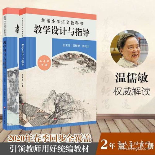 如何设计高效的教案—我的老师教案实践指南