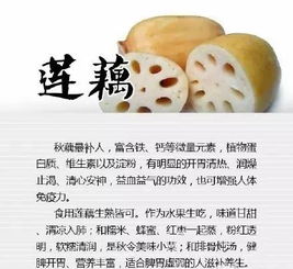 秋季润肺佳品—这些食物帮你呵护呼吸健康