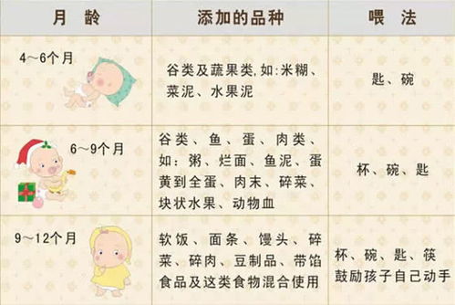 智能育儿助手，食物营养成分表查询小程序的全面解析