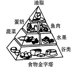 为孩子打造健康饮食，合理饮食金字塔简笔画