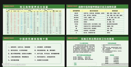 如何查询食物营养成分含量，为健康饮食导航