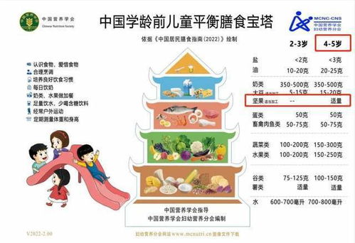 构建儿童健康成长的每日营养金字塔