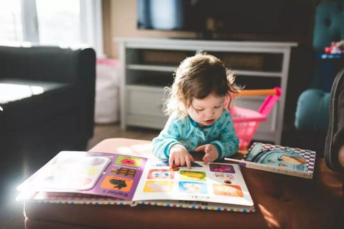 探索幼儿教育的专业类别，为孩子的成长打下坚实基础