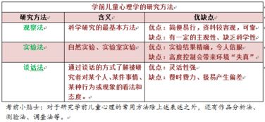 幼儿教育心理学，关键术语与概念解析