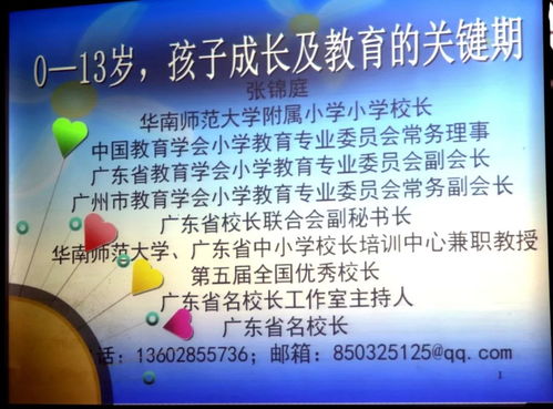 全面关注孩子成长，关键领域与育儿策略
