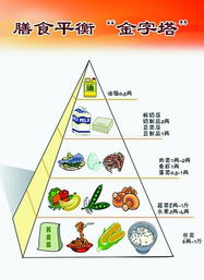 营养金字塔，为孩子打造健康饮食的基石