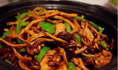 科学喂养，如何使用搅拌机为宝宝制作易消化的胃管食物
