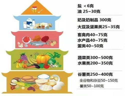 膳食餐盘与膳食宝塔，营养均衡的科学指南