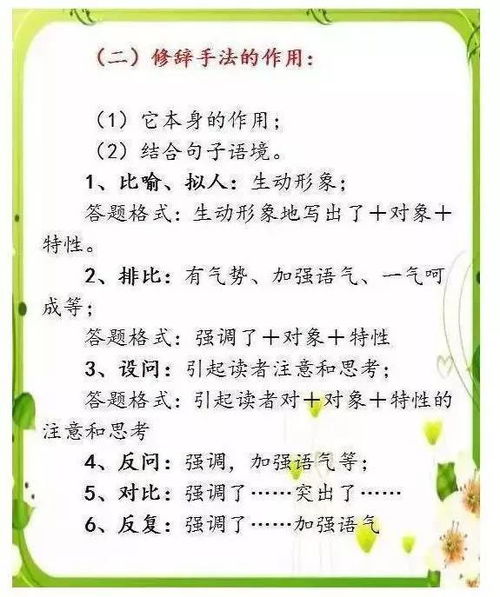 幼儿教育名词解释，理解关键术语，助力孩子成长