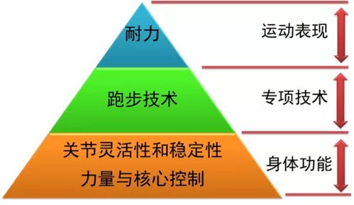 全面关注孩子的发展，身体、情感、社交与认知能力的均衡培养