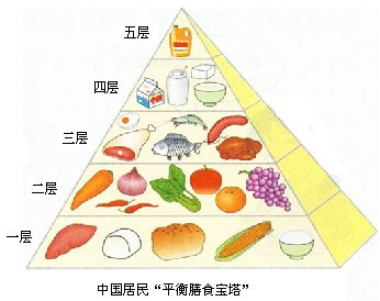 食物营养金字塔，打造健康饮食的手抄报