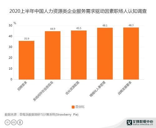 企业成长能力的影响因素分析，从人力资源到市场策略