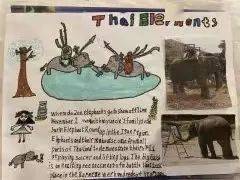 探索世界，二年级学生的英语小报游玩活动指南