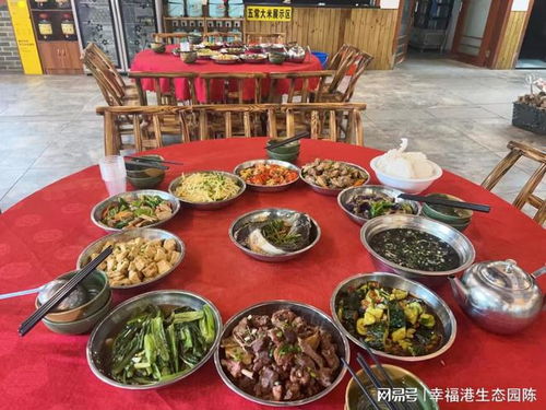 亲子农家乐，在自然中享受吃喝玩乐的乐趣